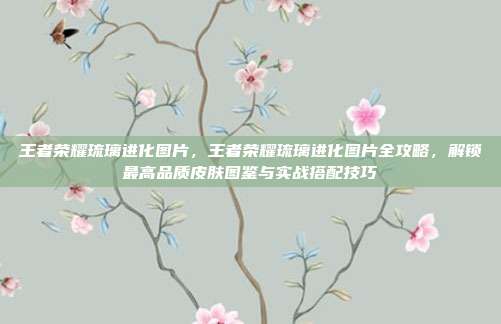 王者荣耀琉璃进化图片，王者荣耀琉璃进化图片全攻略，解锁最高品质皮肤图鉴与实战搭配技巧