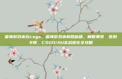 雷神游戏本玩csgo，雷神游戏本制胜秘籍，帧数暴涨、告别卡顿，CSGO/AU实战优化全攻略