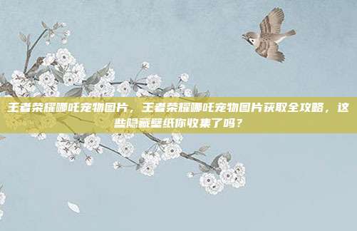 王者荣耀哪吒宠物图片，王者荣耀哪吒宠物图片获取全攻略，这些隐藏壁纸你收集了吗？