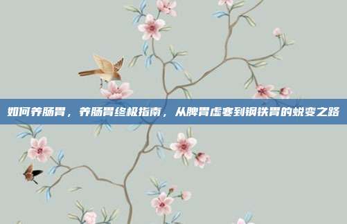 如何养肠胃，养肠胃终极指南，从脾胃虚寒到钢铁胃的蜕变之路