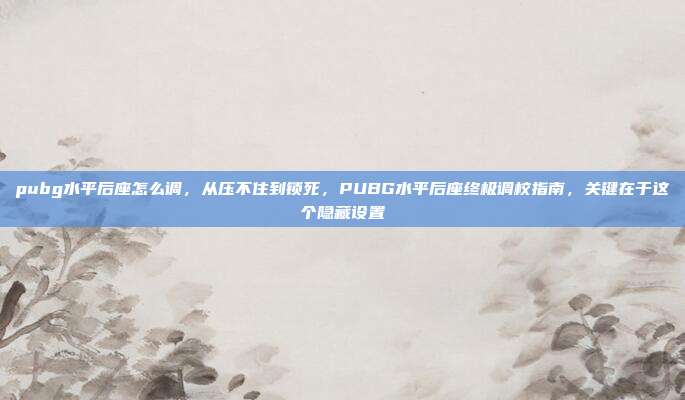 pubg水平后座怎么调，从压不住到锁死，PUBG水平后座终极调校指南，关键在于这个隐藏设置