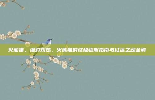 火熊猫，绝对炽热，火熊猫的终极驯服指南与红莲之魂全解