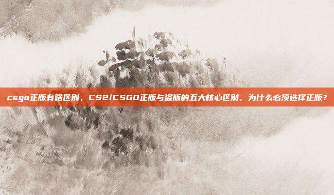 csgo正版有啥区别，CS2/CSGO正版与盗版的五大核心区别，为什么必须选择正版？