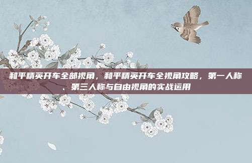 和平精英开车全部视角，和平精英开车全视角攻略，第一人称、第三人称与自由视角的实战运用