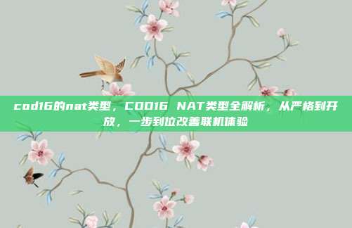 cod16的nat类型，COD16 NAT类型全解析，从严格到开放，一步到位改善联机体验