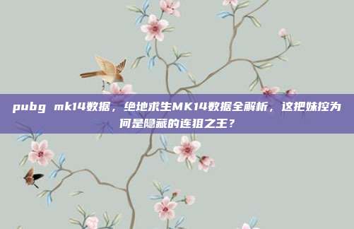 pubg mk14数据，绝地求生MK14数据全解析，这把妹控为何是隐藏的连狙之王？