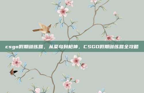 csgo假期训练营，从菜鸟到枪神，CSGO假期训练营全攻略