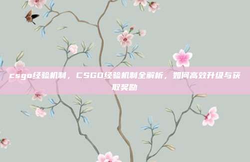 csgo经验机制，CSGO经验机制全解析，如何高效升级与获取奖励