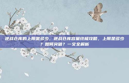 逆战仓库的上限是多少，逆战仓库容量终极攻略，上限是多少？如何突破？一文全解析