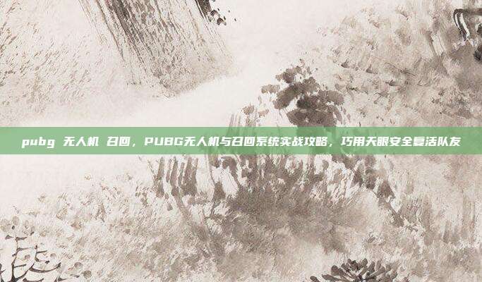 pubg 无人机 召回，PUBG无人机与召回系统实战攻略，巧用天眼安全复活队友