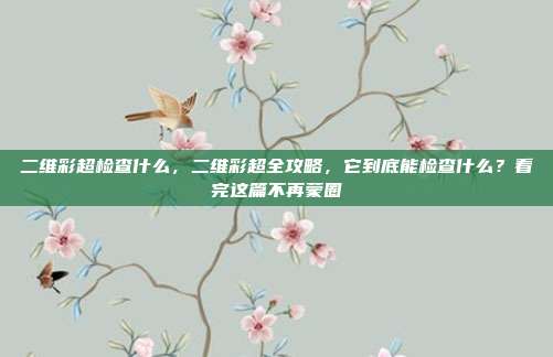 二维彩超检查什么，二维彩超全攻略，它到底能检查什么？看完这篇不再蒙圈