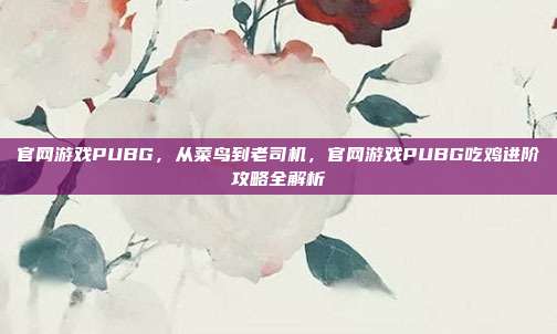 官网游戏PUBG，从菜鸟到老司机，官网游戏PUBG吃鸡进阶攻略全解析