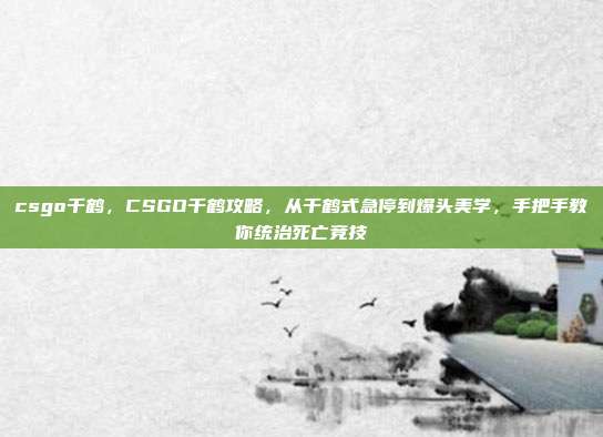 csgo千鹤，CSGO千鹤攻略，从千鹤式急停到爆头美学，手把手教你统治死亡竞技