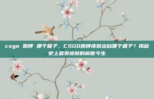 csgo 咆哮 哪个箱子，CSGO咆哮皮肤出自哪个箱子？揭秘史上最贵皮肤的前世今生