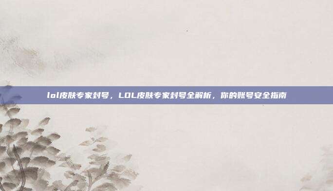 lol皮肤专家封号，LOL皮肤专家封号全解析，你的账号安全指南