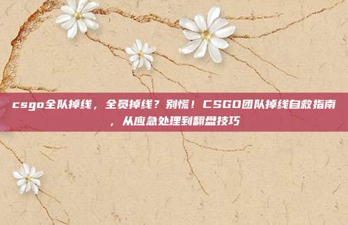 csgo全队掉线，全员掉线？别慌！CSGO团队掉线自救指南，从应急处理到翻盘技巧