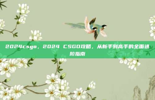 2024csgo，2024 CSGO攻略，从新手到高手的全面进阶指南