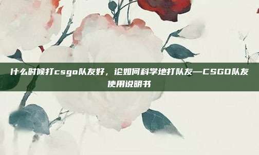 什么时候打csgo队友好，论如何科学地打队友—CSGO队友使用说明书