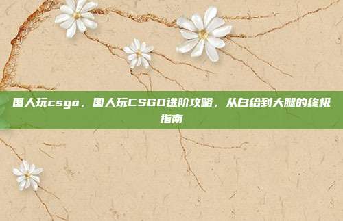 国人玩csgo，国人玩CSGO进阶攻略，从白给到大腿的终极指南