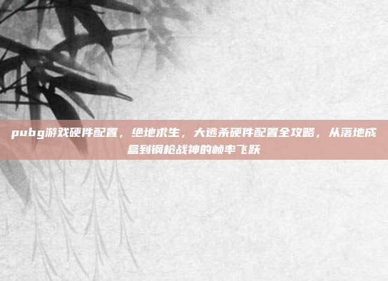 pubg游戏硬件配置，绝地求生，大逃杀硬件配置全攻略，从落地成盒到钢枪战神的帧率飞跃