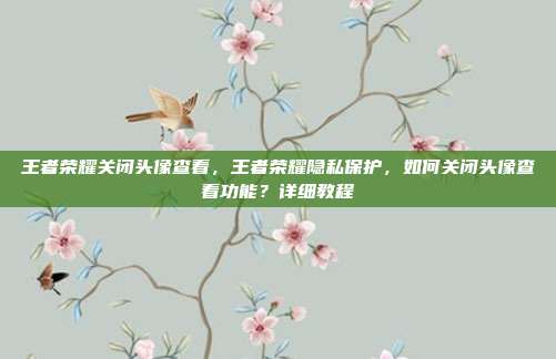 王者荣耀关闭头像查看，王者荣耀隐私保护，如何关闭头像查看功能？详细教程