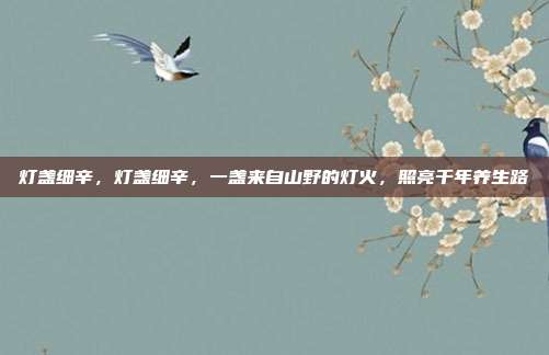 灯盏细辛，灯盏细辛，一盏来自山野的灯火，照亮千年养生路