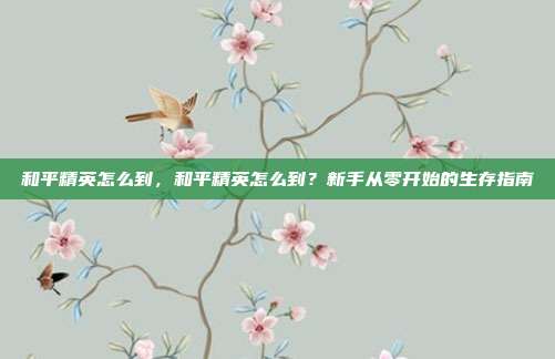 和平精英怎么到，和平精英怎么到？新手从零开始的生存指南