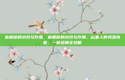 春根藤的功效与作用，春根藤的功效与作用，山里人的风湿克星，一藤多用全攻略