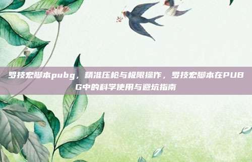 罗技宏脚本pubg，精准压枪与极限操作，罗技宏脚本在PUBG中的科学使用与避坑指南