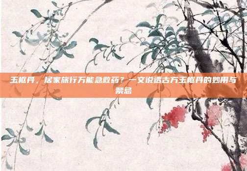 玉枢丹，居家旅行万能急救药？一文说透古方玉枢丹的妙用与禁忌