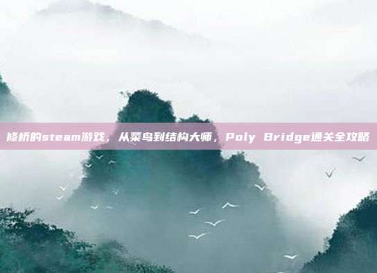 修桥的steam游戏，从菜鸟到结构大师，Poly Bridge通关全攻略