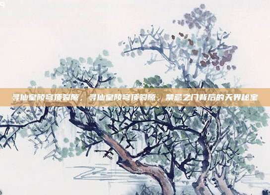 寻仙皇陵穹顶裂隙，寻仙皇陵穹顶裂隙，禁忌之门背后的天界秘宝
