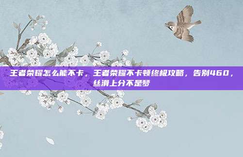 王者荣耀怎么能不卡，王者荣耀不卡顿终极攻略，告别460，丝滑上分不是梦
