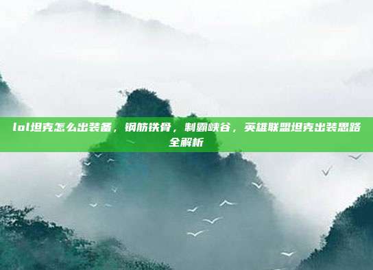 lol坦克怎么出装备，钢筋铁骨，制霸峡谷，英雄联盟坦克出装思路全解析