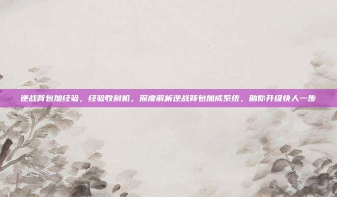 逆战背包加经验，经验收割机，深度解析逆战背包加成系统，助你升级快人一步