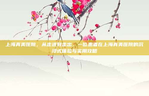 上海真美医院，从走进到走出，一位患者在上海真美医院的沉浸式体验与实用攻略