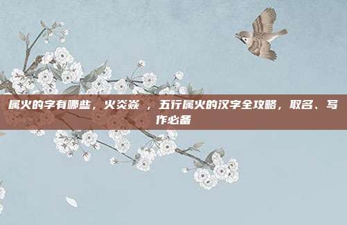 属火的字有哪些，火炎焱燚，五行属火的汉字全攻略，取名、写作必备