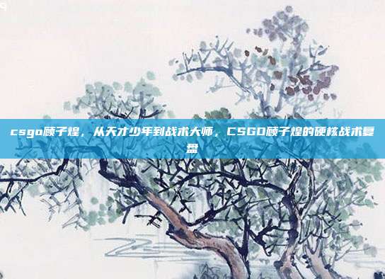 csgo顾子煌，从天才少年到战术大师，CSGO顾子煌的硬核战术复盘