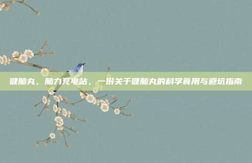 健脑丸，脑力充电站，一份关于健脑丸的科学食用与避坑指南