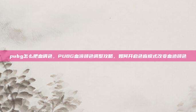 pubg怎么把血调色，PUBG血液颜色调整攻略，如何开启色盲模式改变血迹颜色