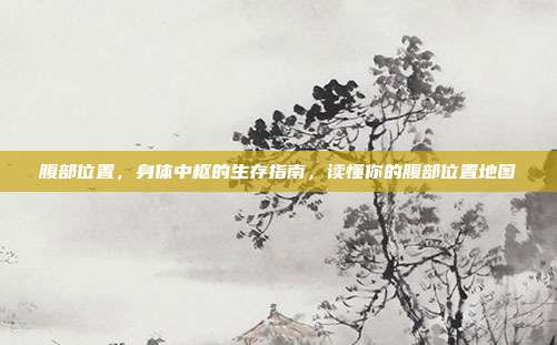 腹部位置，身体中枢的生存指南，读懂你的腹部位置地图
