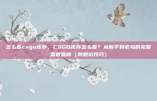 怎么看csgo库存，CSGO库存怎么看？从新手到老鸟的完整查看指南（附避坑技巧）