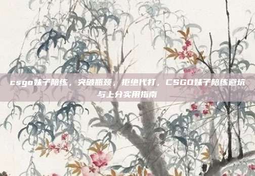 csgo妹子陪练，突破瓶颈，拒绝代打，CSGO妹子陪练避坑与上分实用指南