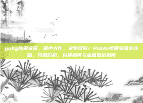 pubg惊雷宝箱，雷声大作，宝物驾到！PUBG惊雷宝箱全攻略，开箱时机、兑换指南与血泪避坑指南