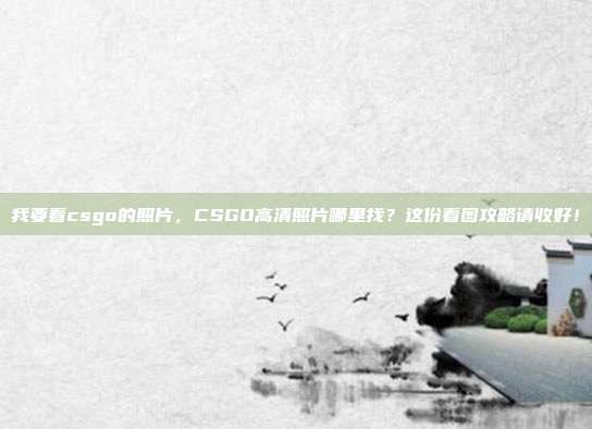 我要看csgo的照片，CSGO高清照片哪里找？这份看图攻略请收好！