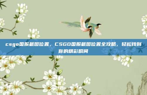 csgo国服截图位置，CSGO国服截图位置全攻略，轻松找到你的精彩瞬间