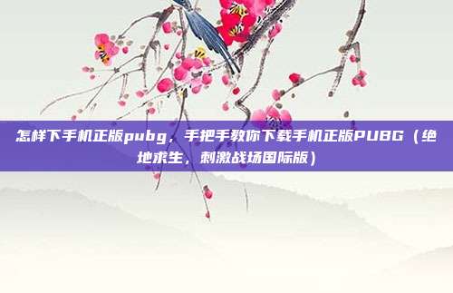 怎样下手机正版pubg，手把手教你下载手机正版PUBG（绝地求生，刺激战场国际版）