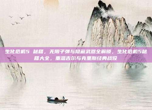 生化危机5 秘籍，无限子弹与隐藏武器全解锁，生化危机5秘籍大全，重温吉尔与克里斯经典战役
