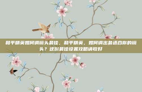 和平精英如何调镜头最佳，和平精英，如何调出最适合你的镜头？这份最佳设置攻略请收好