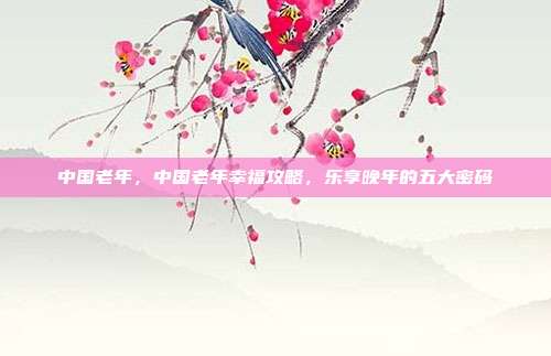 中国老年，中国老年幸福攻略，乐享晚年的五大密码